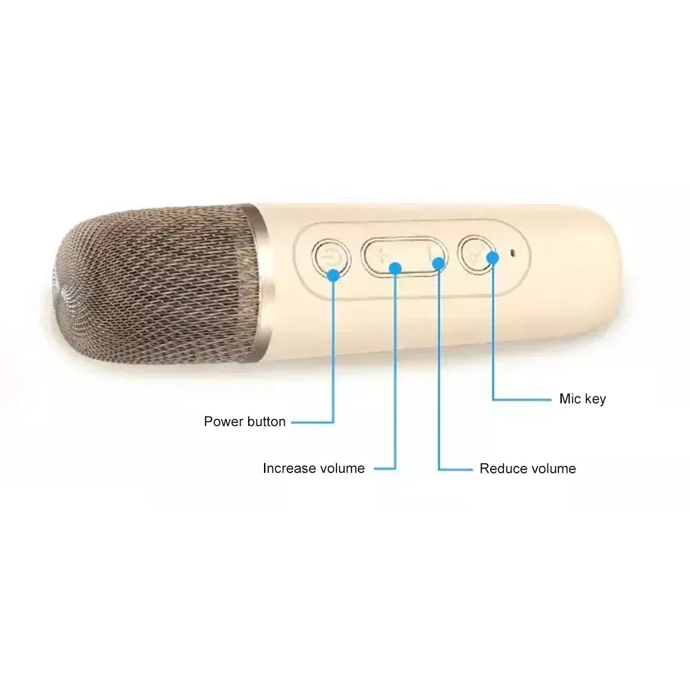 K12 Wireless Bluetooth Speaker Multifunction with 2 Microphone Mic RGB Portable Music Player Karaoke Machine for Child Home Gift