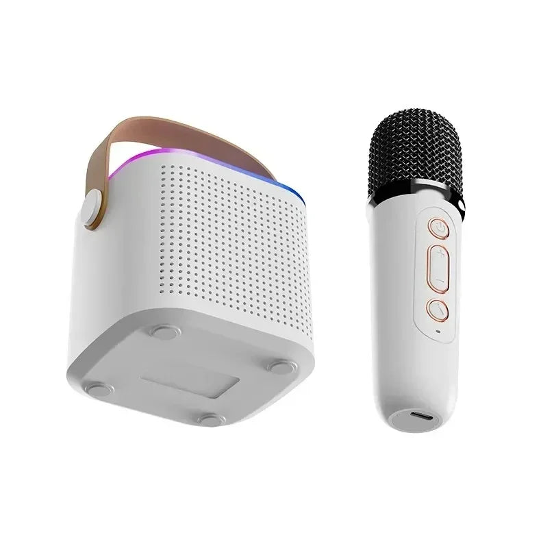 Y1 Wireless Dual Microphones Karaoke Machine KTV DSP System Bluetooth 5.3 PA Speaker HIFI Stereo Surround RGB Colorful LED Light